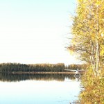 Weekly Photo Challenge: Fall