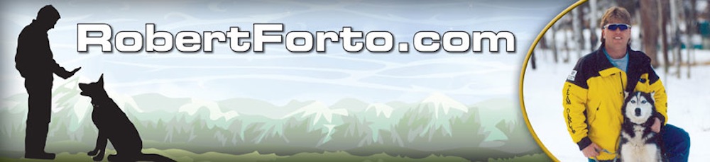 Robert Forto