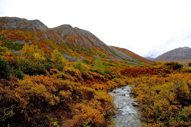 Road Trippin: Hatcher Pass, Independence Mine and Blueberries