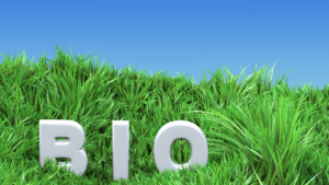 450 Best Instagram Bios For Adventure Clubs [2025]