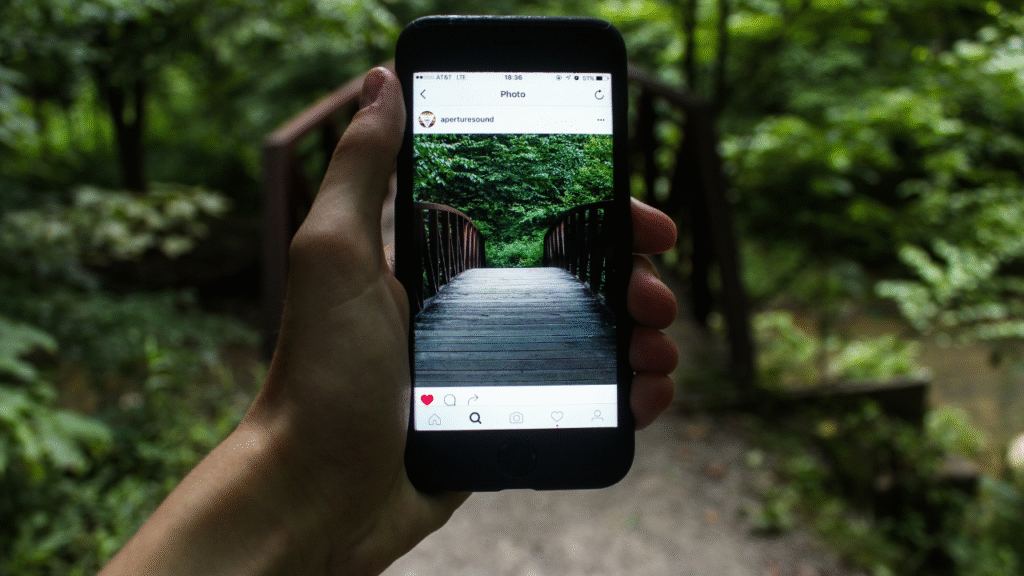 100 Instagram Nature Captions for Those Days When the Mountains Are Calling and You Must Go