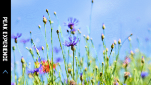 In the Wilderness, We Find Both Our Strength and Our Humility