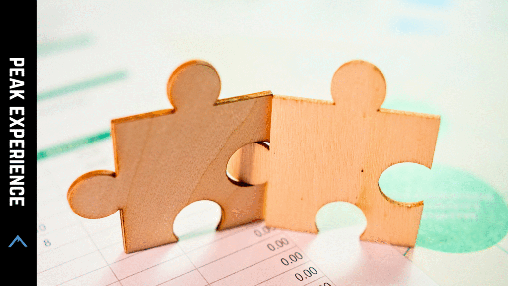 Great Things Are Achieved When You Harness the Power of Collaboration