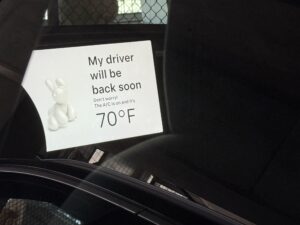 Tesla’s New Dog Mode Live Activity: Because Who Doesn’t Want a Lock Screen Full of Puppy Stares?