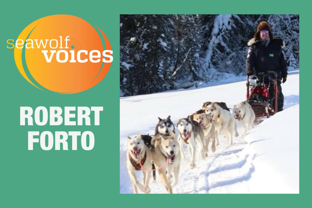 What Dog Mushing Taught Me About Leadership and Life